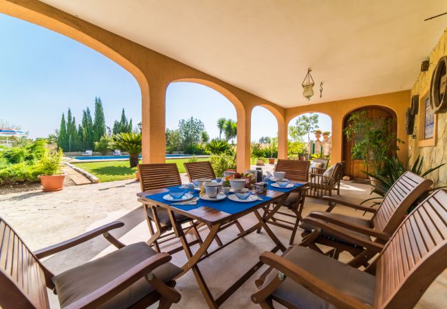 Country house in Sa Pobla - Rural finca in Mallorca Gomila with pool Country house in Sa Pobla - Rural finca in Mallorca Gomila with pool
