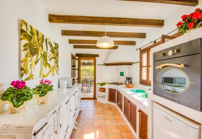 Country house in Petra - Rural Finca Es Puput with pool in Mallorca Country house in Petra - Rural Finca Es Puput with pool in Mallorca