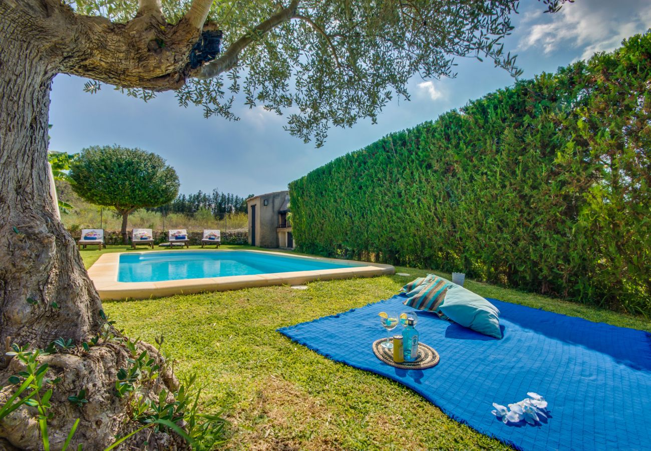 Country house in Petra - Rural Finca Es Puput with pool in Mallorca