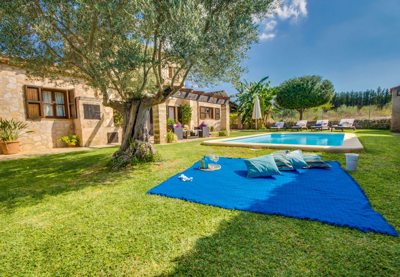 Country house in Petra - Rural Finca Es Puput with pool in Majorca