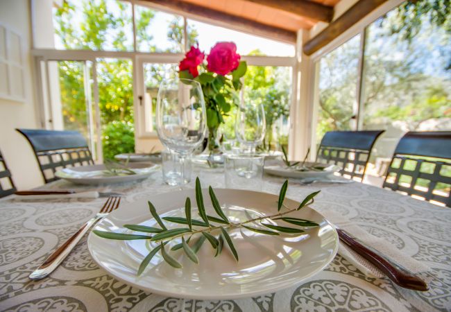 House in Puerto de Alcudia - House in Alcudia Can Olivo close to the beach House in Puerto de Alcudia - House in Alcudia Can Olivo close to the beach