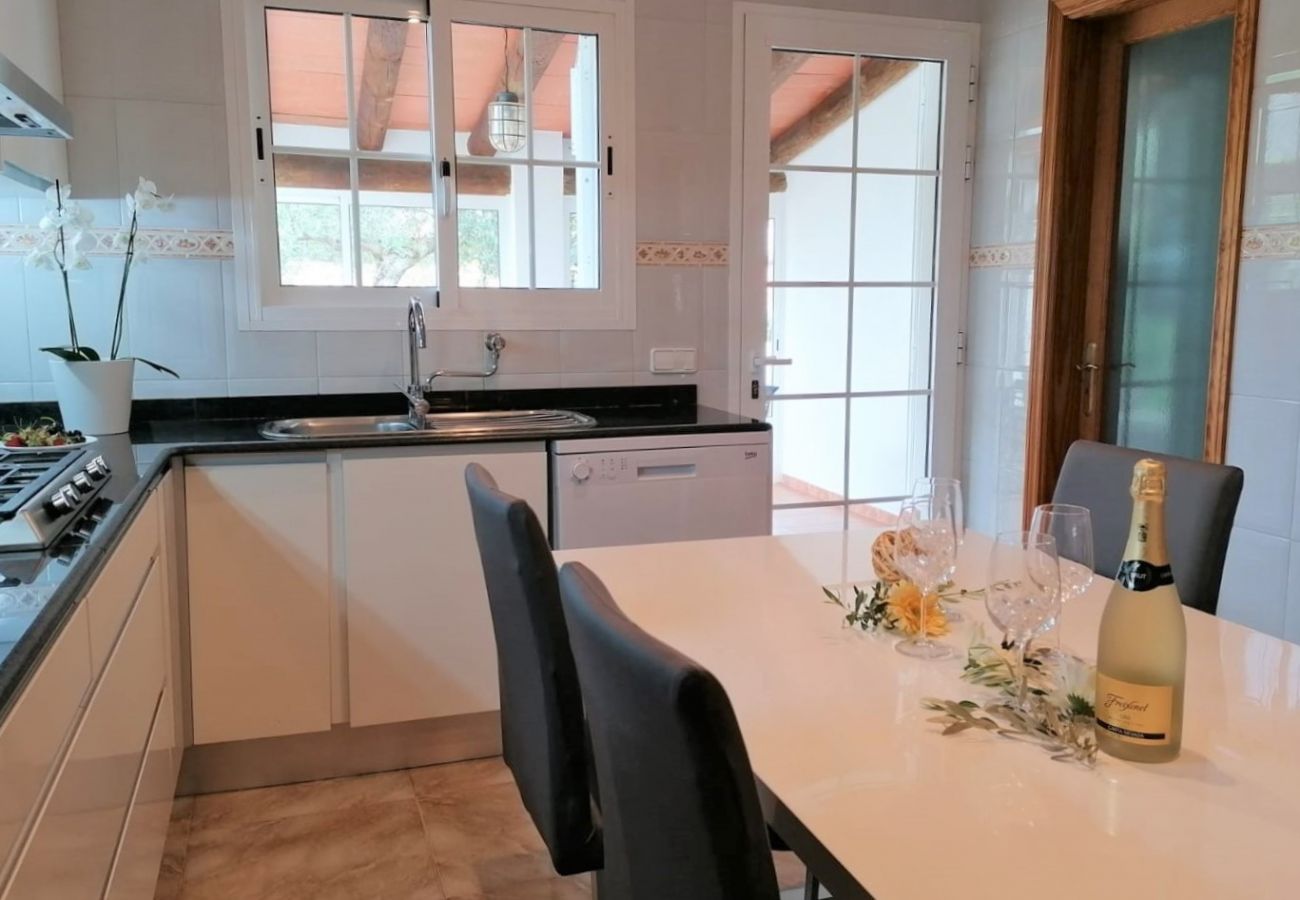 House in Puerto de Alcudia - House in Alcudia Can Olivo close to the beach
