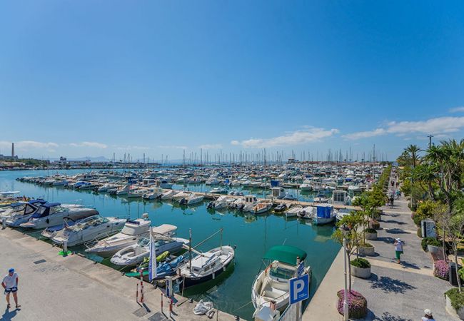 House in Playa de Muro - House close to beach Can Paris in Playa de Muro House in Playa de Muro - House close to beach Can Paris in Playa de Muro