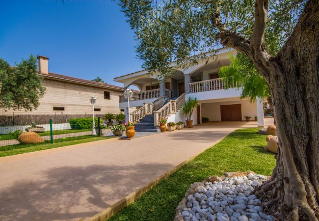 House in Alcúdia - Casa Flor with swimming pool near Alcudia beach House in Alcúdia - Casa Flor with swimming pool near Alcudia beach