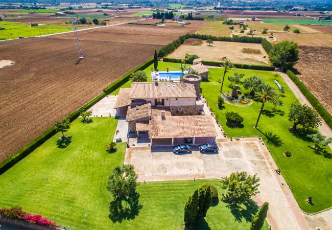 House in Sa Pobla - Rustic Finca in Mallorca Can Colis with pool