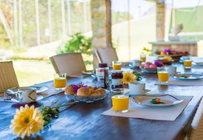 Country house in Pollensa - Rural finca in Pollensa Es Moli with pool Country house in Pollensa - Rural finca in Pollensa Es Moli with pool