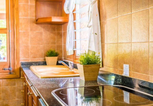 Country house in Pollensa - Rural finca in Pollensa Es Moli with pool Country house in Pollensa - Rural finca in Pollensa Es Moli with pool