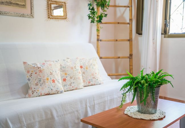 House in Alcúdia - Finca Toni in Alcudia with pool close to the beach House in Alcúdia - Finca Toni in Alcudia with pool close to the beach