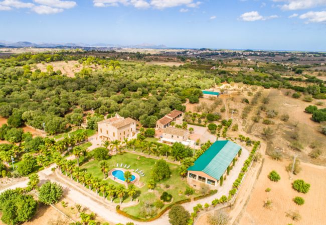 Country house in Maria de la salut - FFinca Son Perot with pools in Mallorca