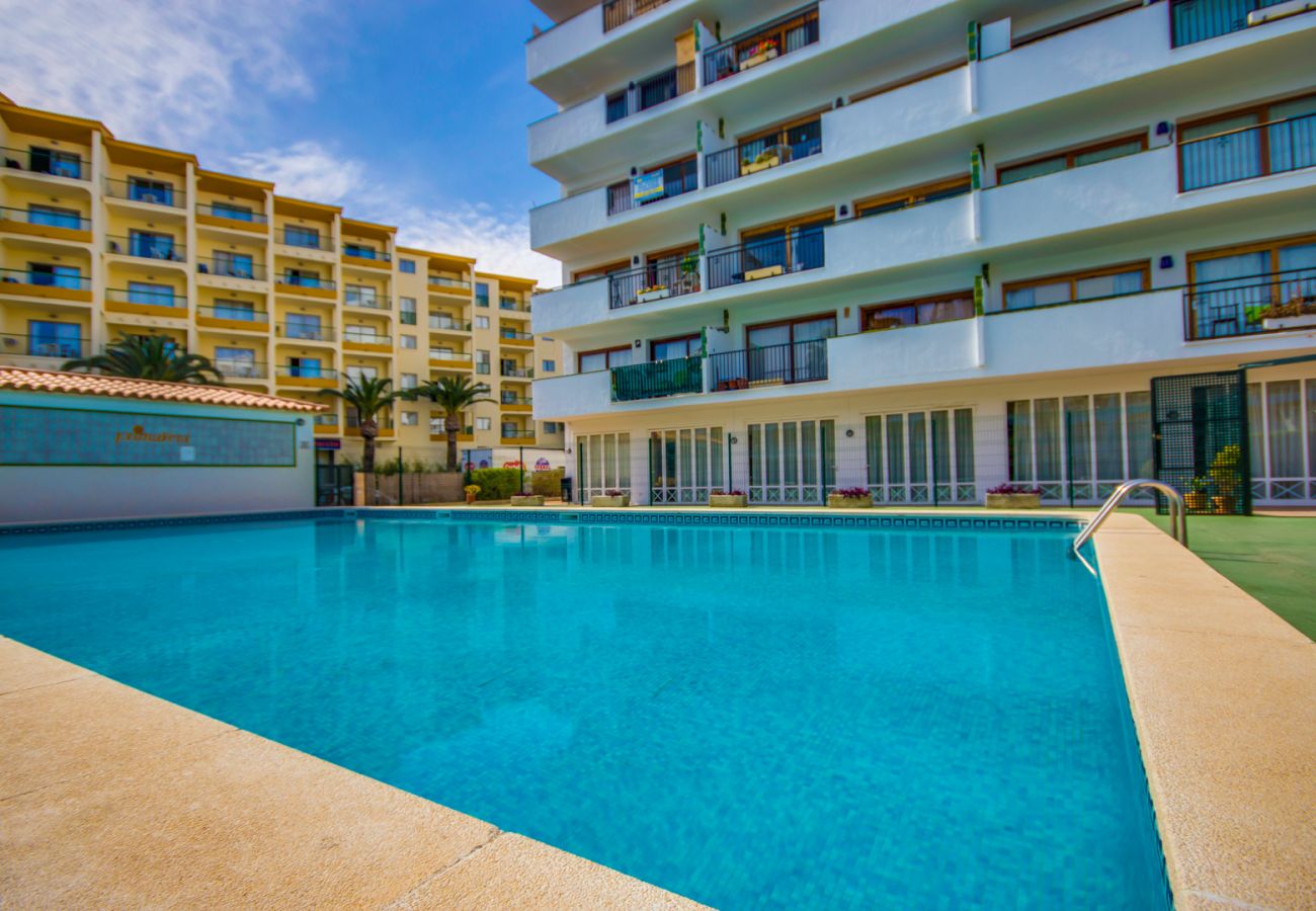 Apartment with communal pool in Alcúdia.