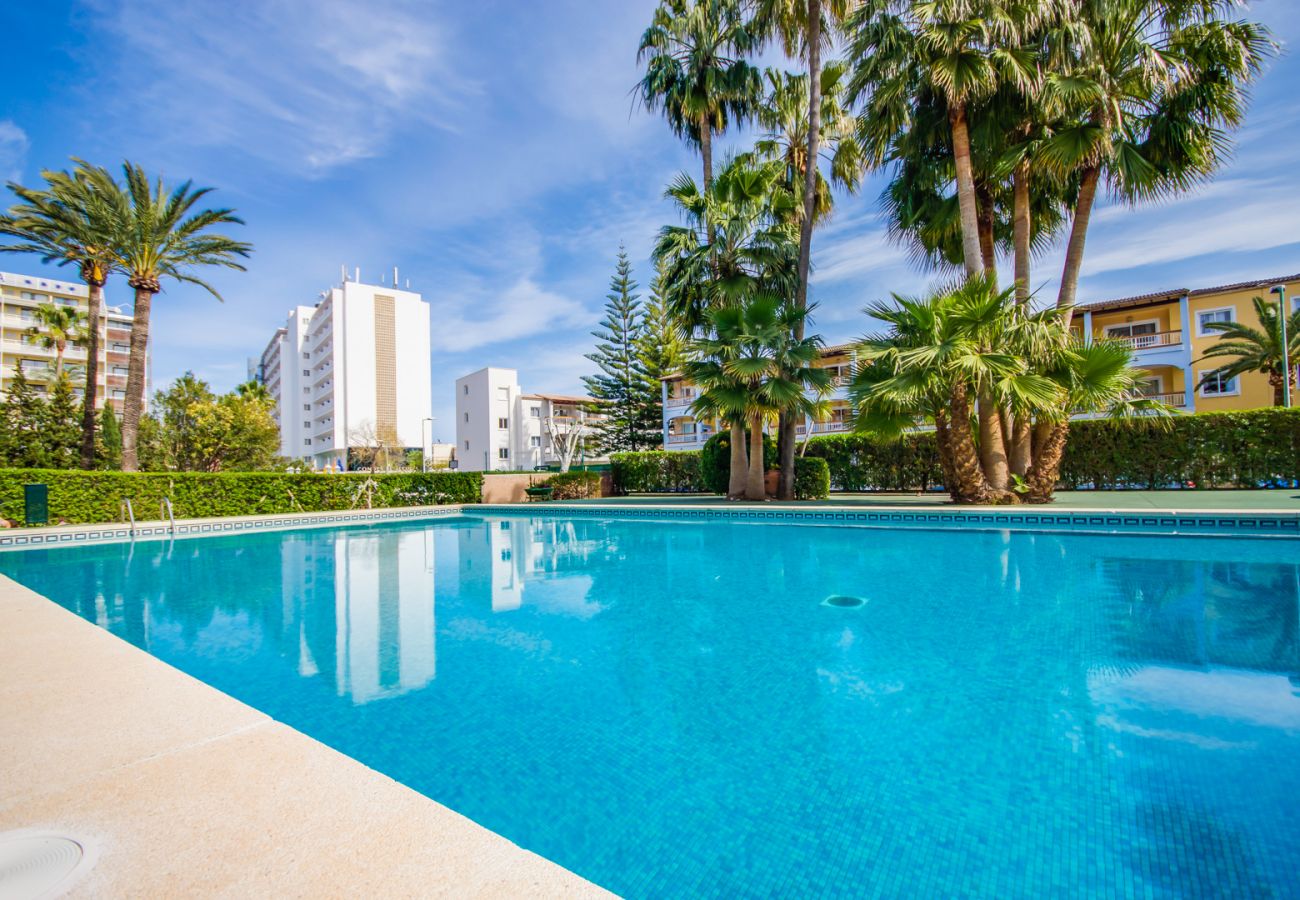 Apartment in Puerto de Alcudia - Apartment in Alcudia Primavera close to the beach with swimming pool.