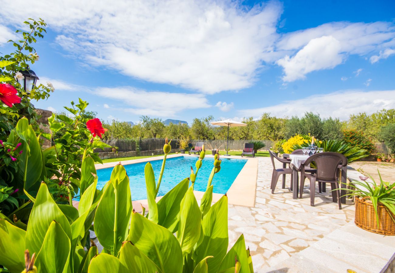 Finca with pool in the middle of nature.