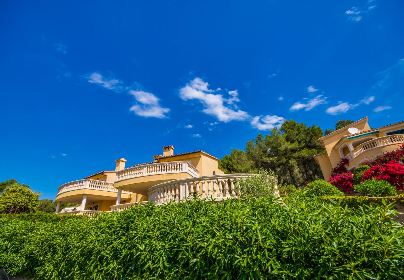 House in Alcanada - House with pool in Alcudia Ronda near the beach