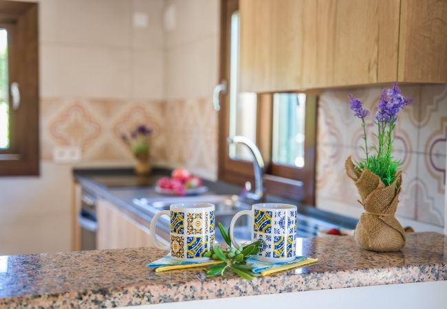 Country house in Puerto Pollensa - Finca by sea Ses Rotes with pool Pollensa Country house in Puerto Pollensa - Finca by sea Ses Rotes with pool Pollensa