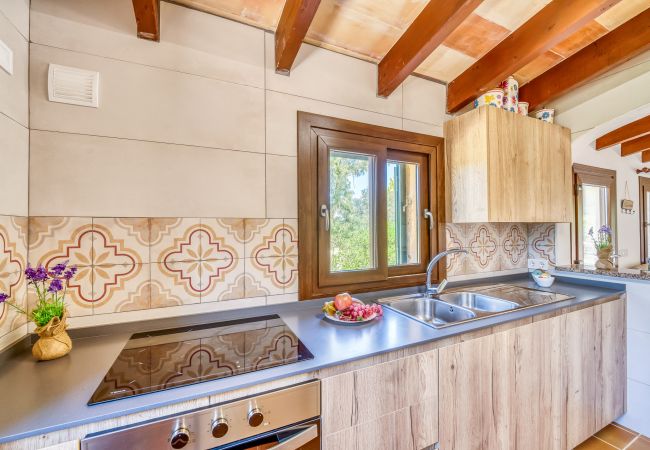 Country house in Puerto Pollensa - Finca by sea Ses Rotes with pool Pollensa Country house in Puerto Pollensa - Finca by sea Ses Rotes with pool Pollensa