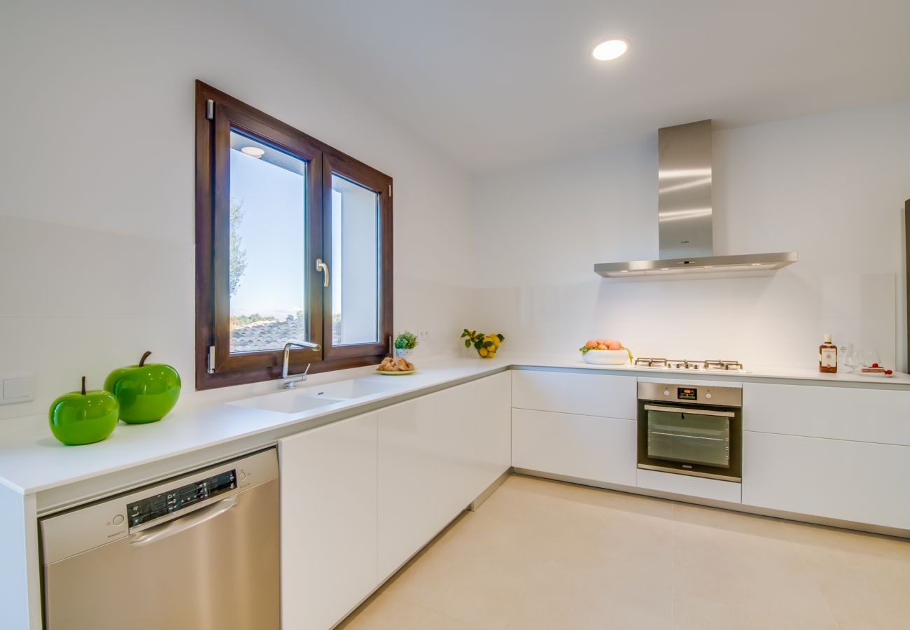 Country house in Ariany - Finca Sa Canova Ariany modern with pool Mallorca