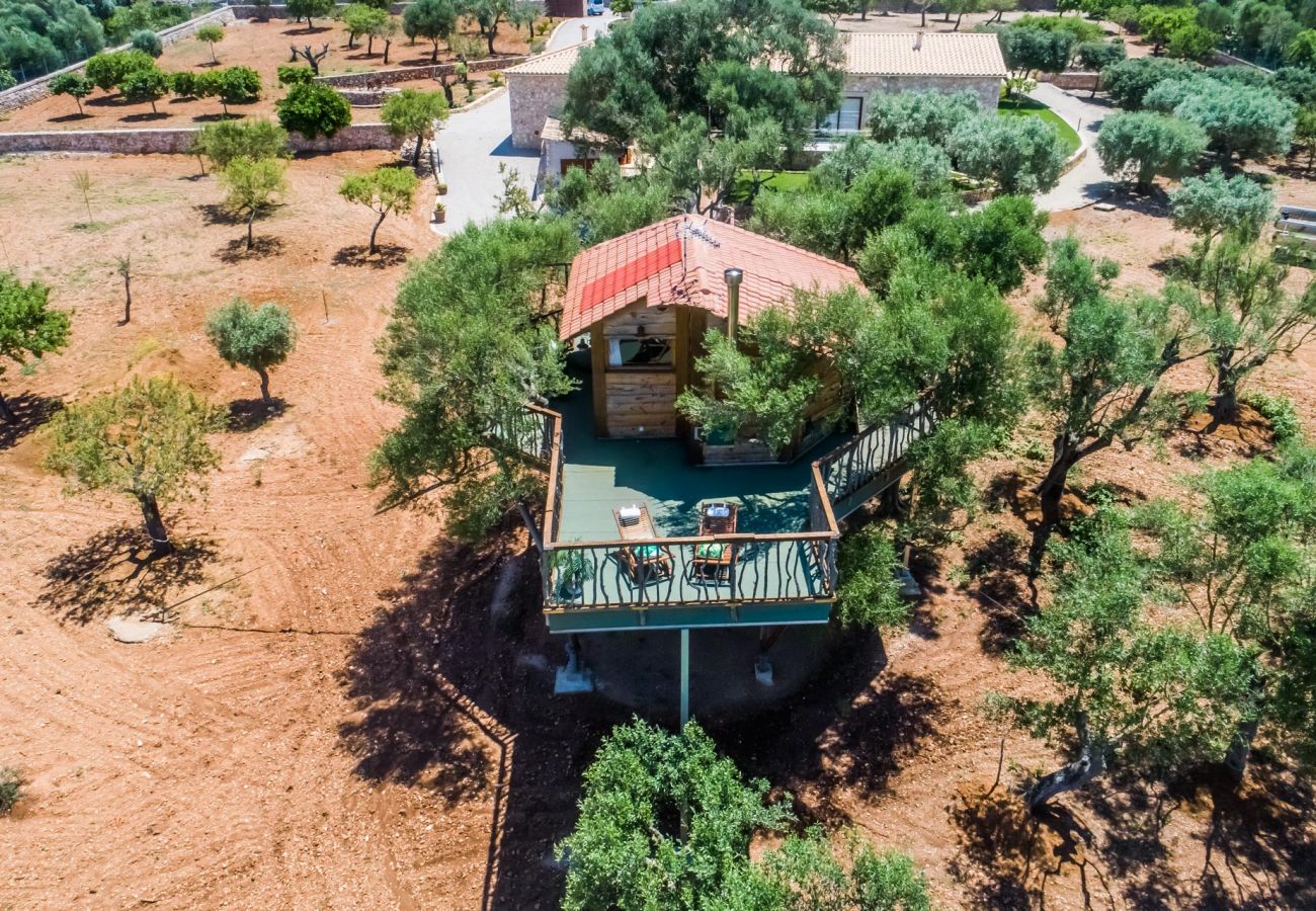 Country house in Ariany - Finca Sa Canova Ariany pool tree house Mallorca