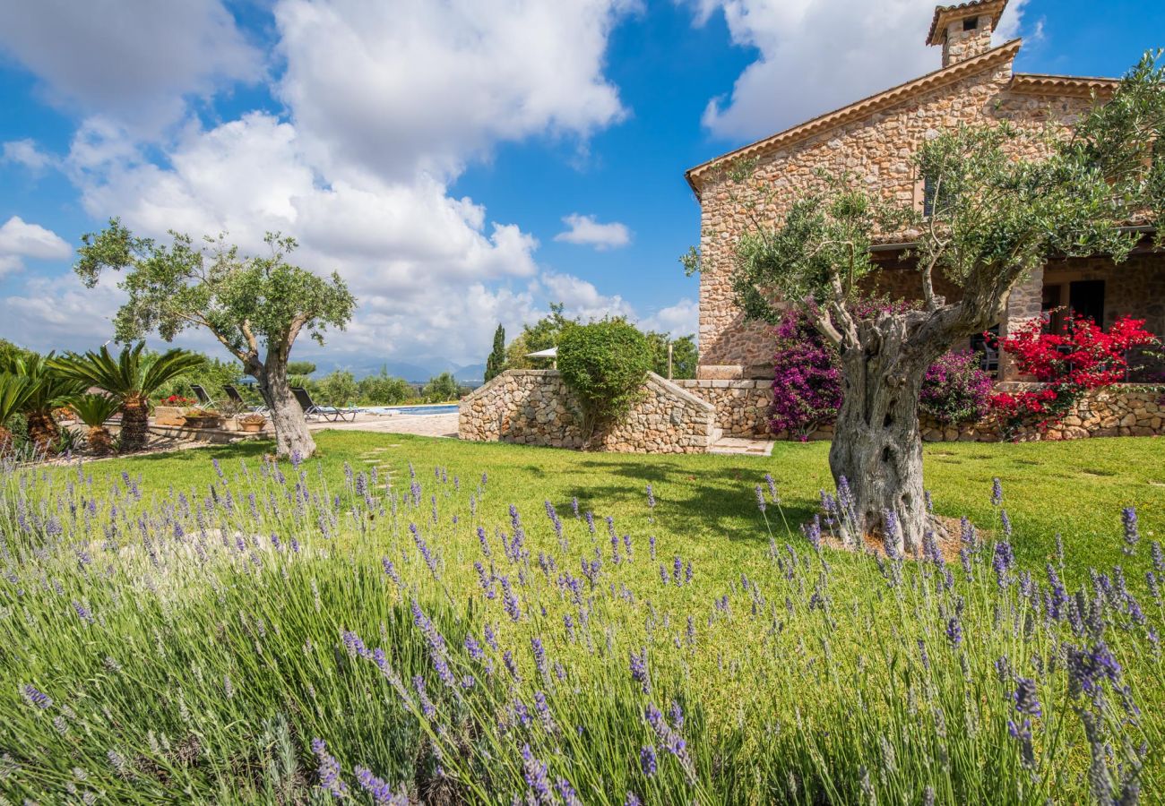 Country house in Muro - Rural finca in Muro Sa Font with swimming pool