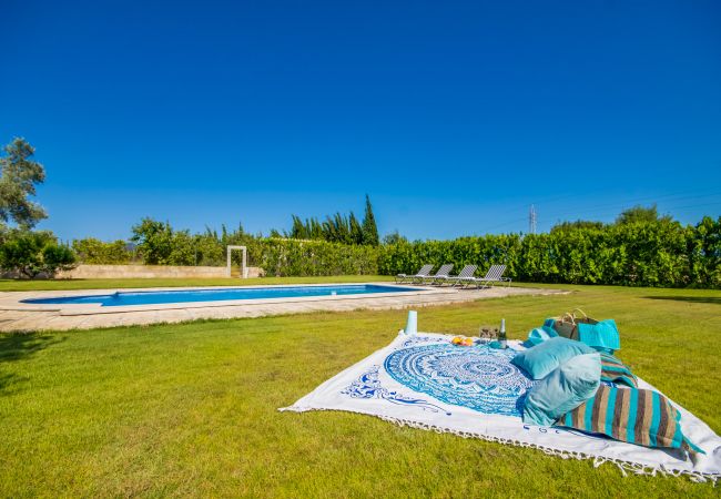 Country house in Alcúdia - Mallorcan finca in Alcudia Ses Poves with pool Country house in Alcúdia - Mallorcan finca in Alcudia Ses Poves with pool