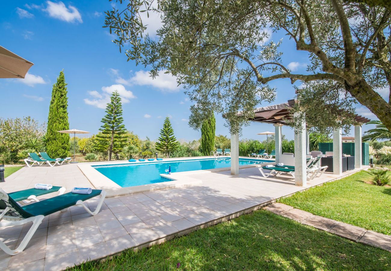 Country house in Alcudia - Rural Finca in Alcudia Ca Na Siona with pool