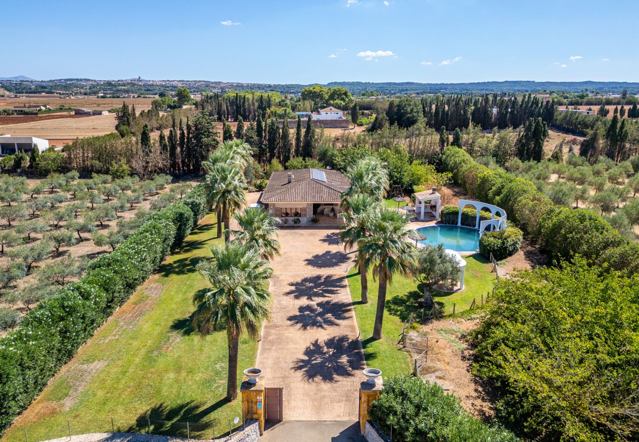 Country house in Sa Pobla - Finca Son Manyo 223 with pool in Mallorca