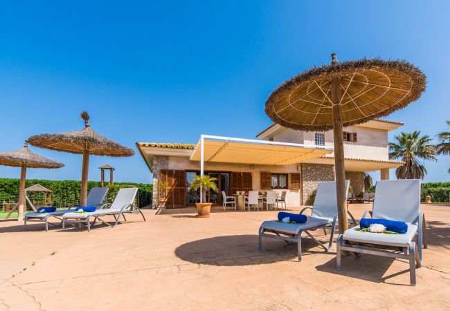 Country house in Sa Pobla - Finca Son Manyo 222 with pool in Mallorca Country house in Sa Pobla - Finca Son Manyo 222 with pool in Mallorca
