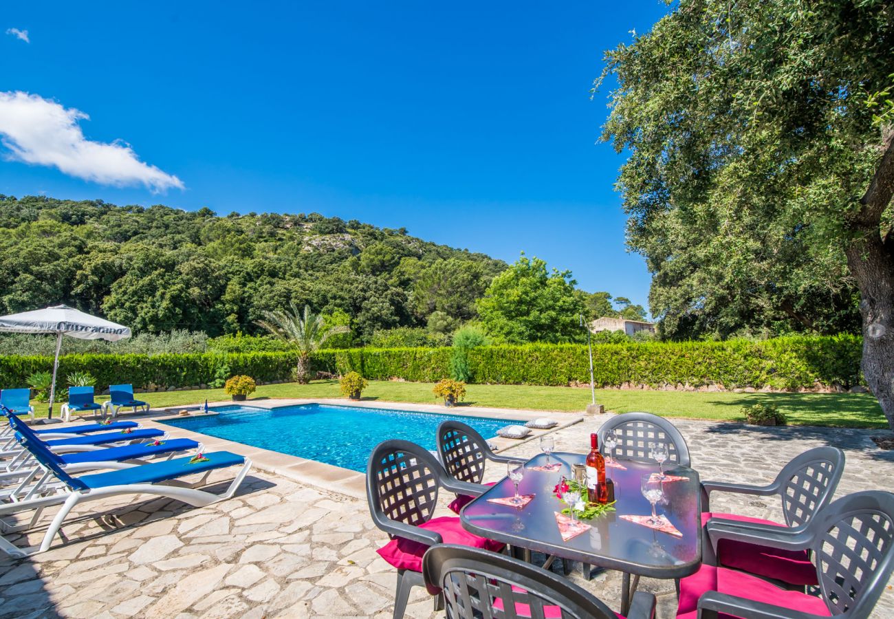 Country house in Pollensa - Finca in Pollensa Can torres with swimming pool
