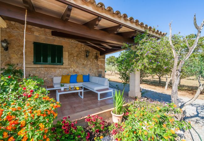 Country house in Pollensa - Finca en Pollensa Can Carabassot with pool 