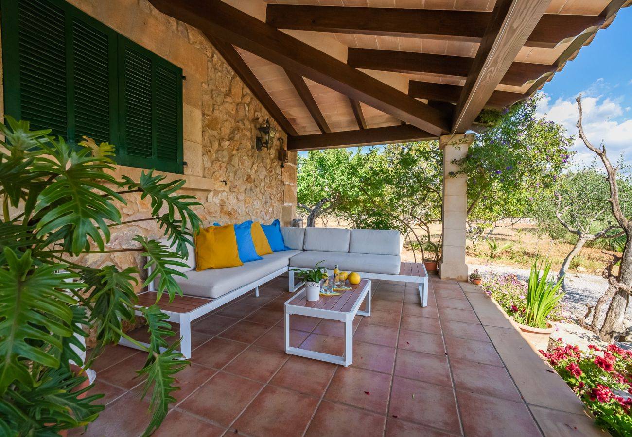 Country house in Pollensa - Finca en Pollensa Can Carabassot with pool 