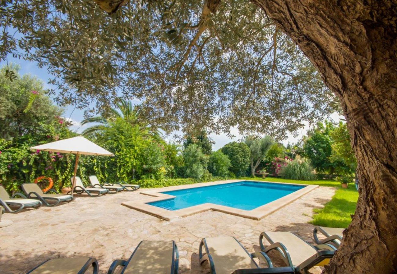 Country house in Buger - Large rustic finca Can Nyany Buger in Mallorca