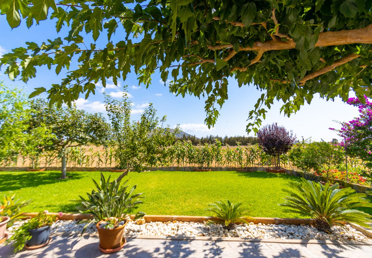 Country house in Sa Pobla - Sustainable finca Sa Vela de Son Puig in Mallorca