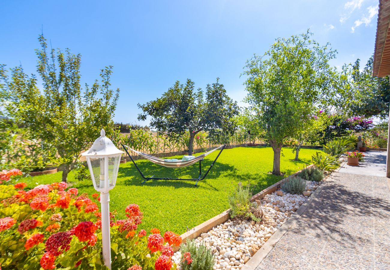 Air-conditioned accommodation in Mallorca