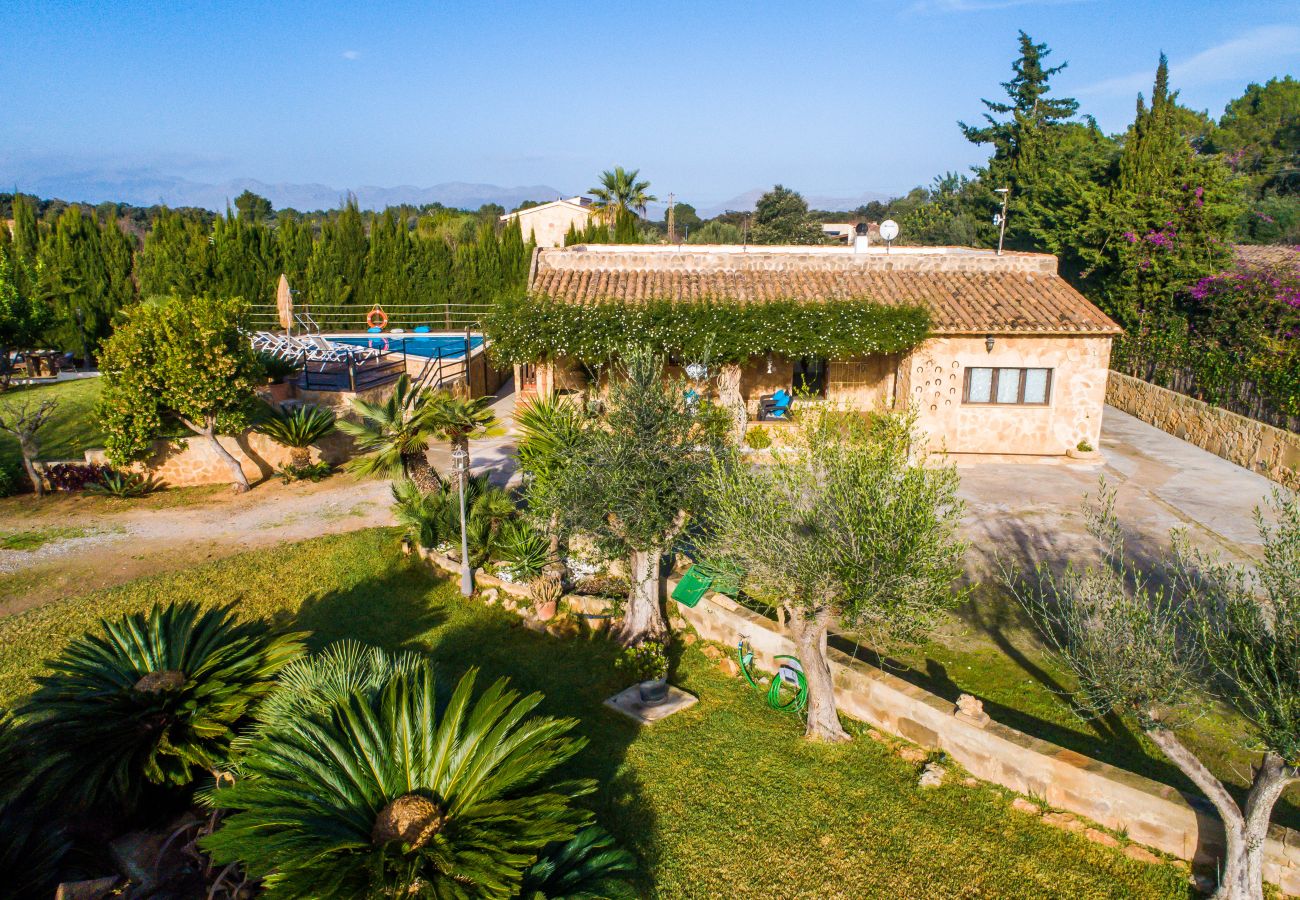 Country house in Alcudia - Finca Alcudia Sa Vinya Vella near beach with pool