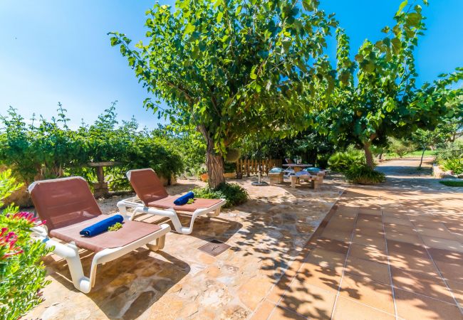 Country house in Capdepera - Finca in middle of nature Na Babayana on Mallorca