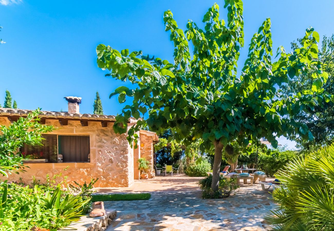 Country house in Capdepera - Finca in middle of nature Na Babayana on Mallorca