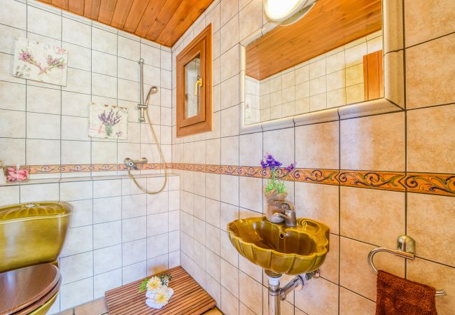 Country house in Muro - Finca with pool Son Morei Gran in midst of nature Country house in Muro - Finca with pool Son Morei Gran in midst of nature