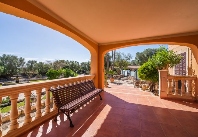 Country house in Muro - Finca with pool Son Morei Gran in midst of nature Country house in Muro - Finca with pool Son Morei Gran in midst of nature