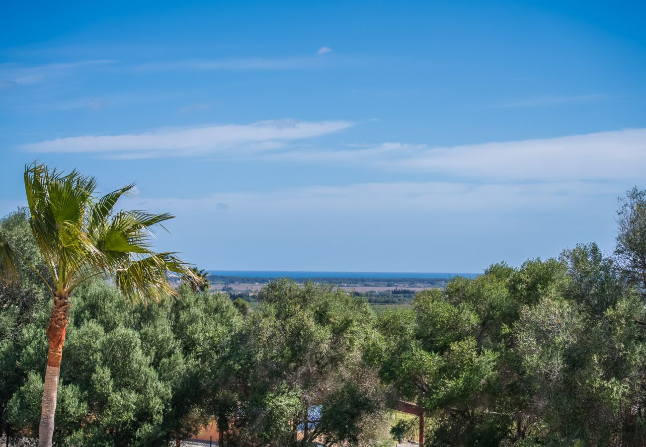 Country house in Muro - Finca with pool Son Morei Gran in midst of nature