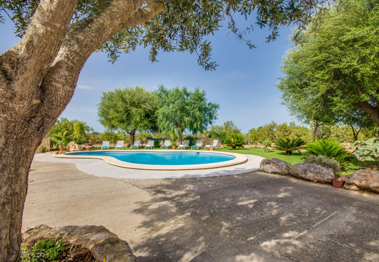 Country house in Santa Margalida - Finca Vernissa next to Can Picafort private pool