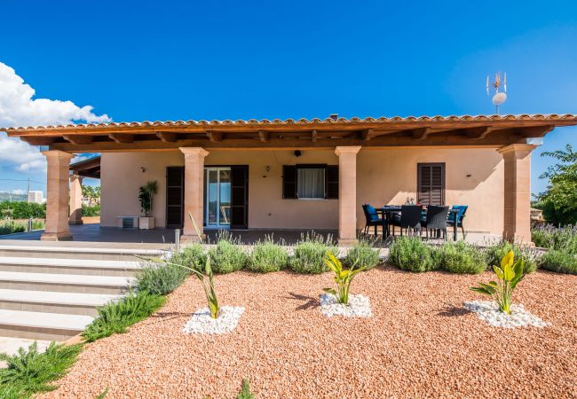 Country house in Sa Pobla - Rural finca Villa del Nord with pool in Mallorca Country house in Sa Pobla - Rural finca Villa del Nord with pool in Mallorca