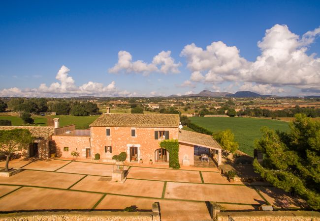 Country house in Manacor - Modern villa in Mallorca Pleta with swimming pool Country house in Manacor - Modern villa in Mallorca Pleta with swimming pool