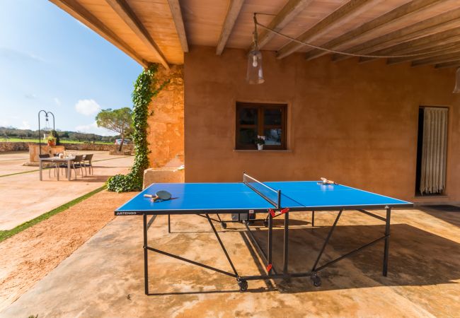 Country house in Manacor - Modern villa in Mallorca Pleta with swimming pool Country house in Manacor - Modern villa in Mallorca Pleta with swimming pool