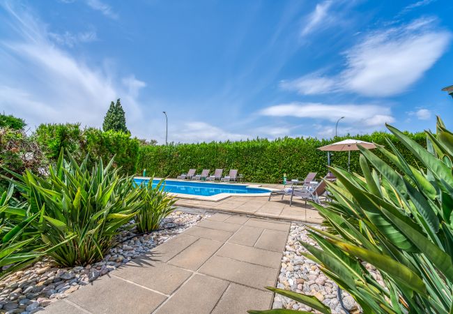 House in Pollensa - House pool Villa Anna in Puerto Pollensa 