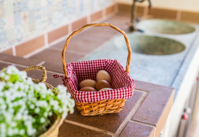 Country house in Inca - Centrally located Finca Mallorca Sa Tanqueta Pool Country house in Inca - Centrally located Finca Mallorca Sa Tanqueta Pool