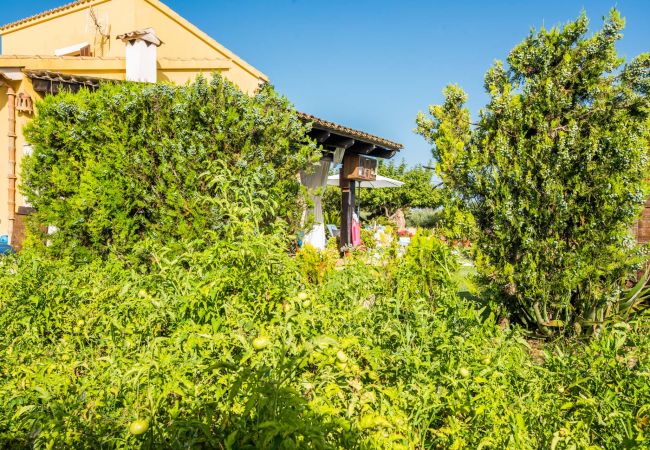 Country house in Inca - Centrally located Finca Mallorca Sa Tanqueta Pool Country house in Inca - Centrally located Finca Mallorca Sa Tanqueta Pool