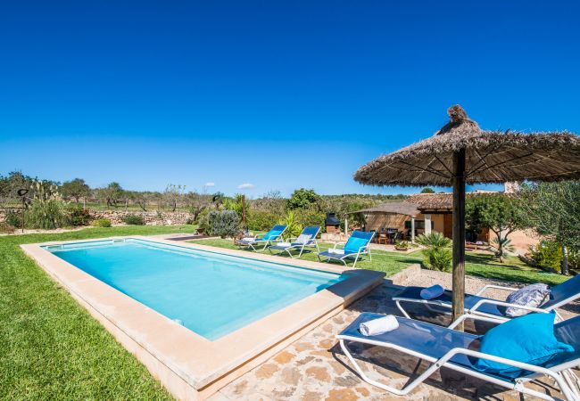 House with pool near Can Picafort.