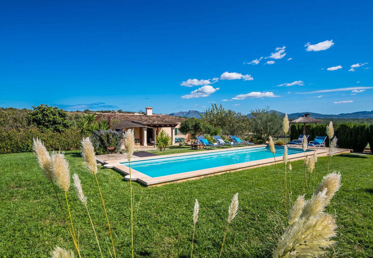 Finca in Mallorca with pool in the middle of nature. 