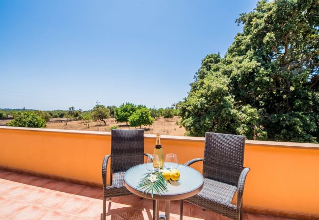 Country house in Muro - Rural finca in Mallorca Els Moyans with pool Country house in Muro - Rural finca in Mallorca Els Moyans with pool