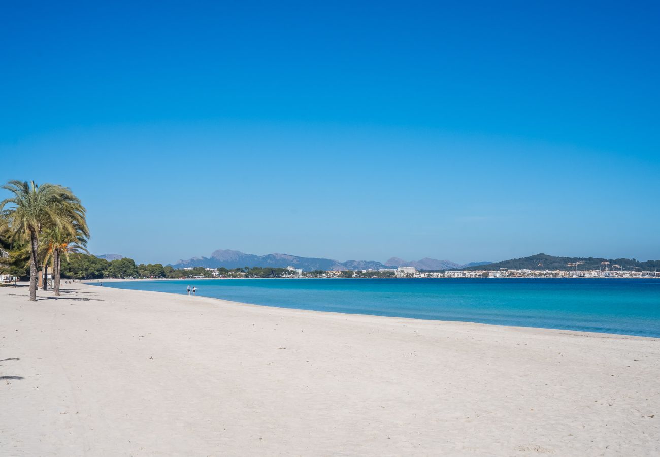 Vacations in Alcudia by the sea