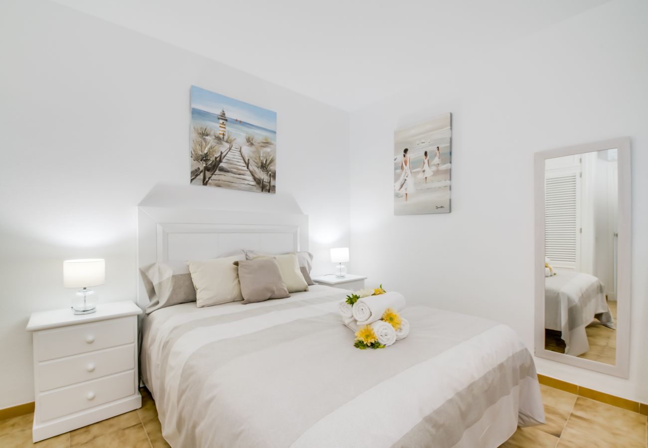 Apartment in Alcudia - Butterfly apartment in front of the sea in Alcudia